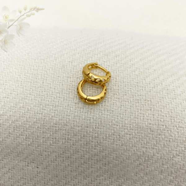 earings5